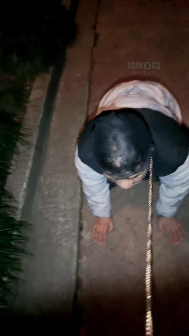 【顺神s】户外遛狗-舔脏鞋底-绳艺在线资源网