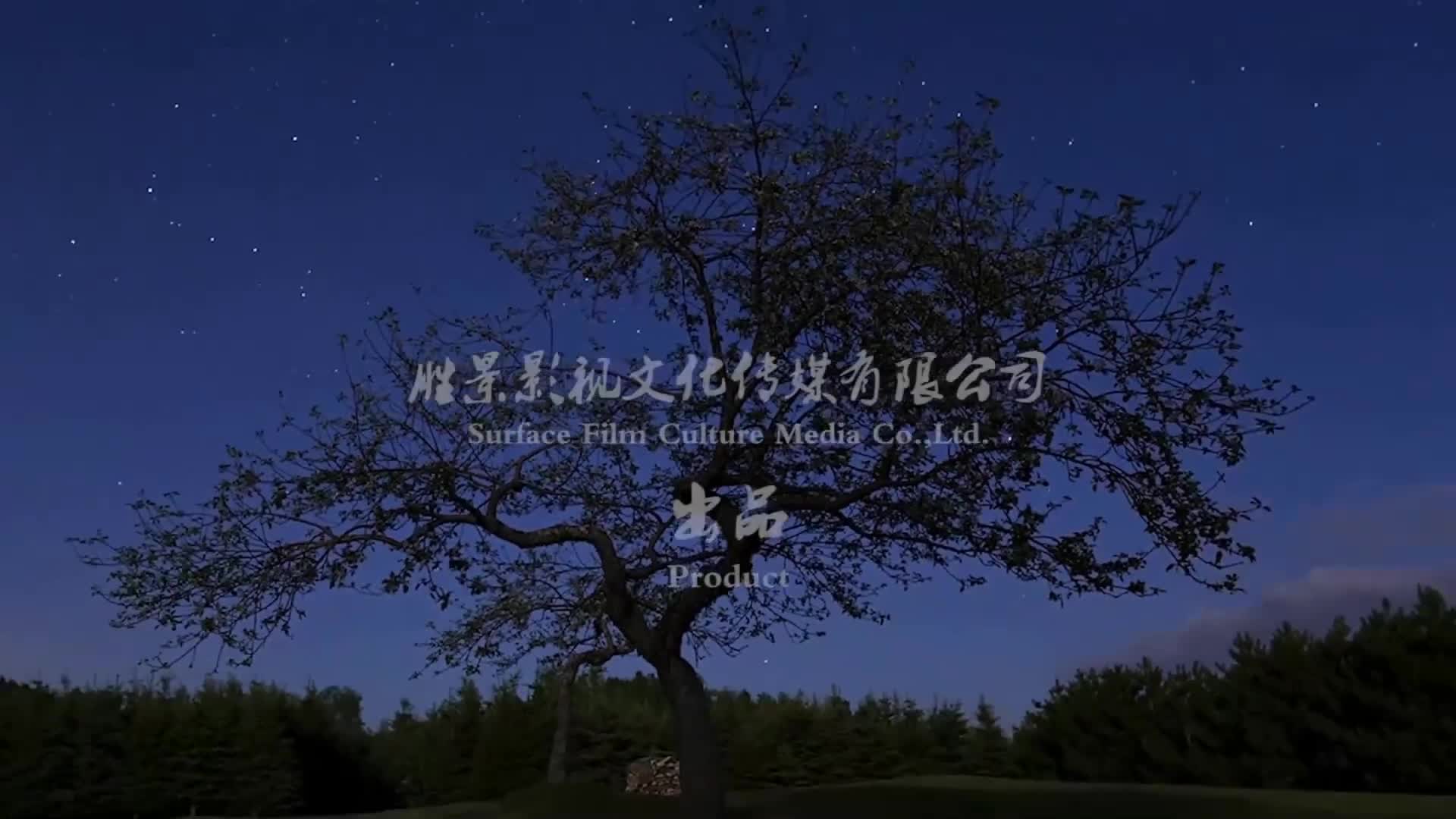 【胜景影视】被囚的空姐 上集-绳艺在线资源网