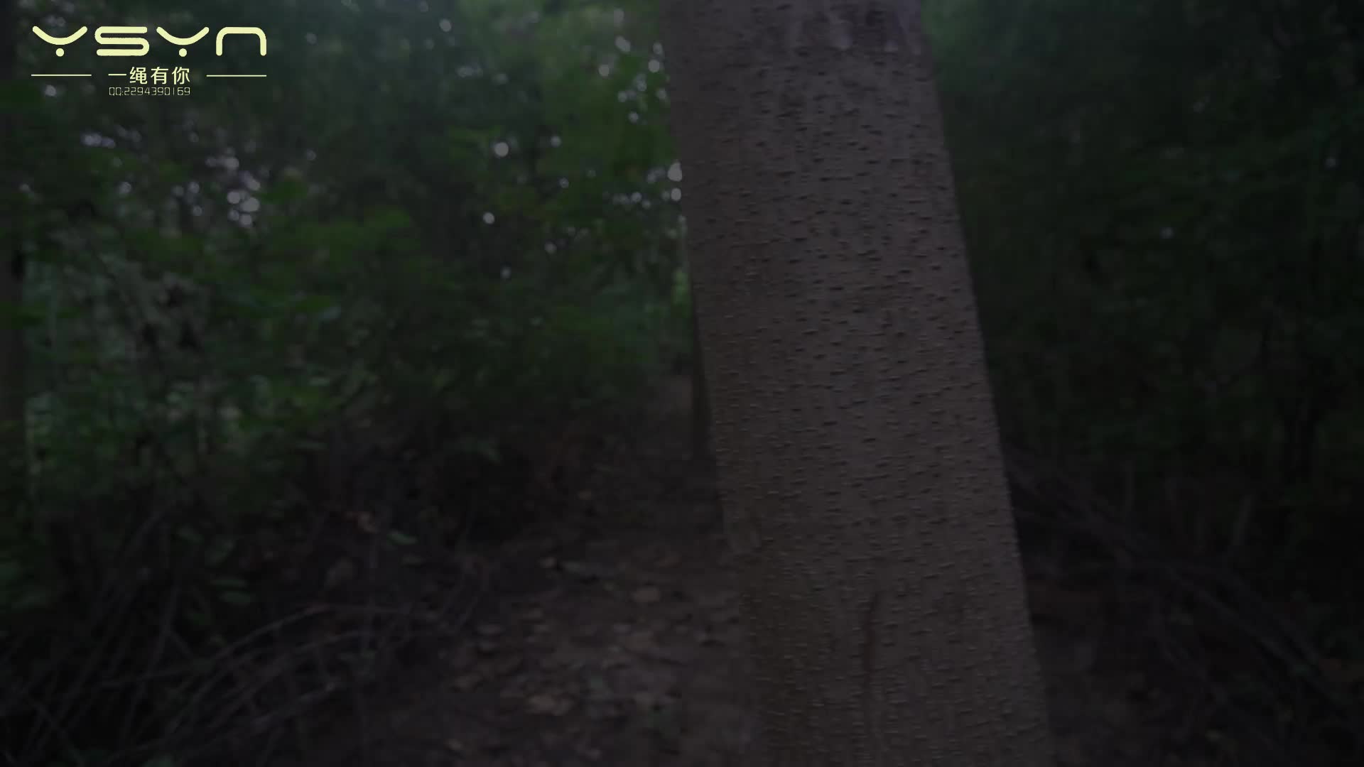 【一绳有你】山林密语-绳艺在线资源网