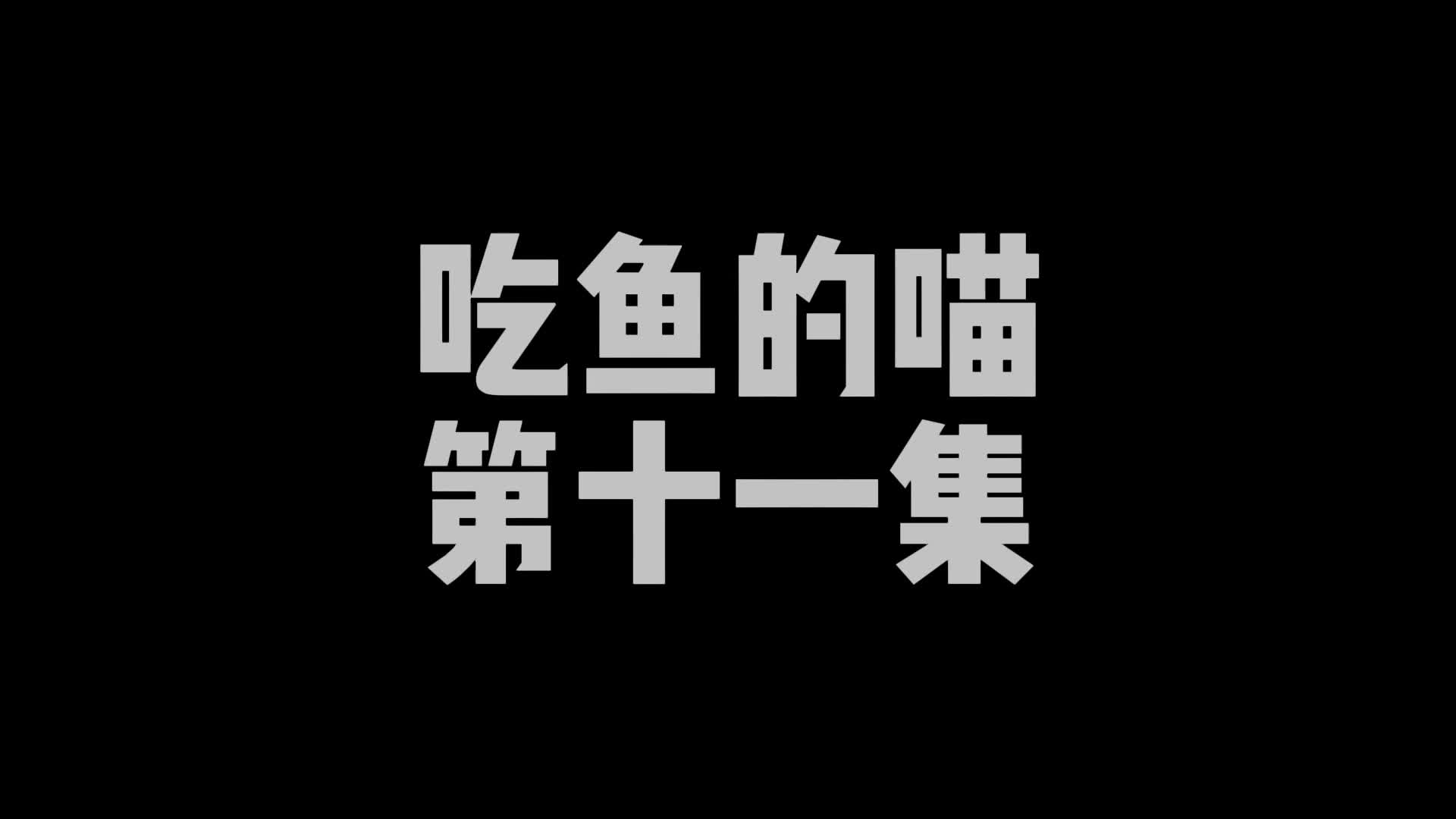 【嗷大喵】定拍吃鱼的喵-第十一集-绳艺在线资源网
