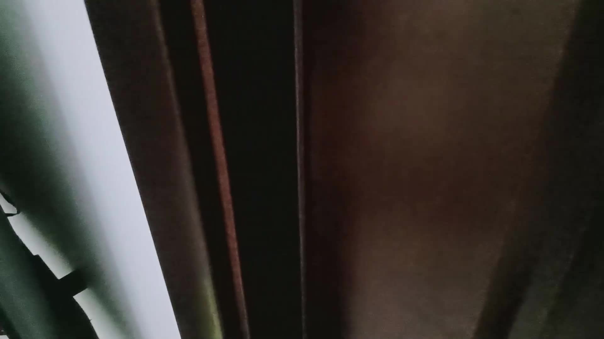 当家里有一个爱偷懒的女仆小妖-绳艺在线资源网