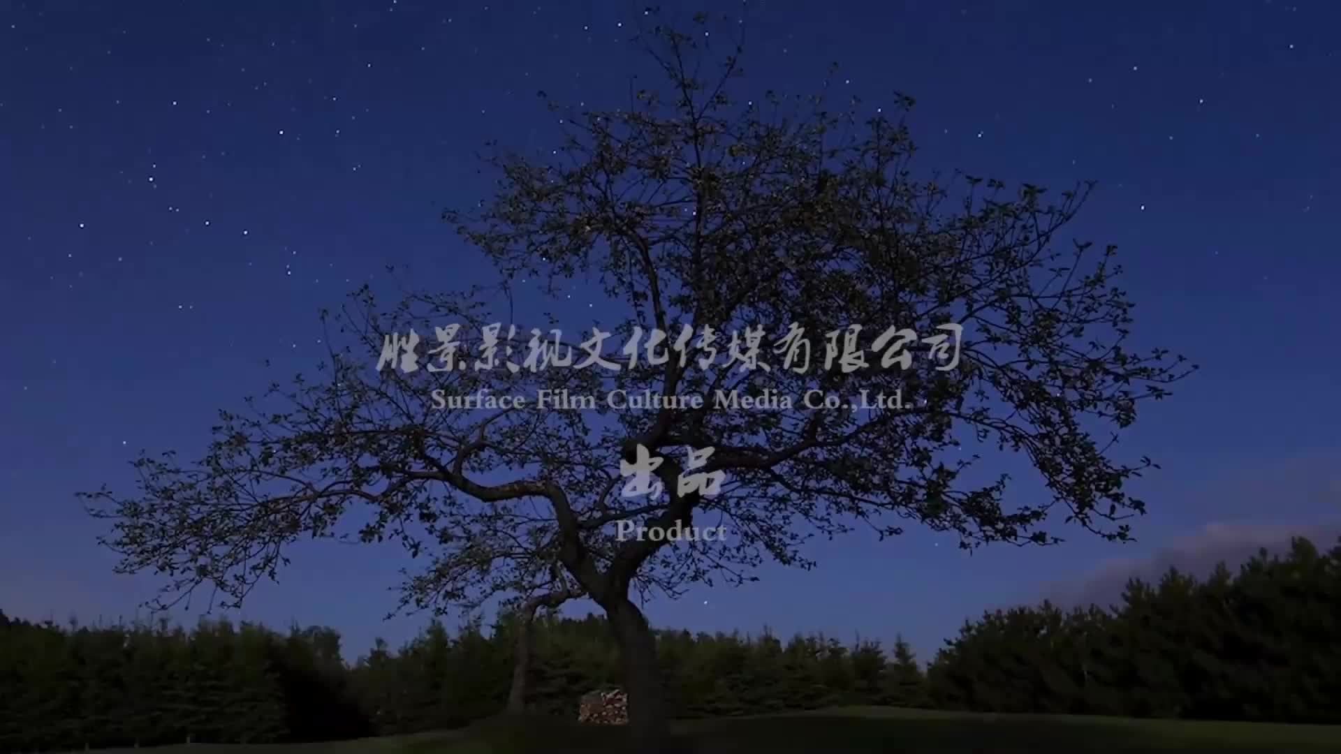 【胜景影视】深入虎穴 女井跟踪歹徒深入匪窝反被歹徒制服关在匪窝折磨-绳艺在线资源网