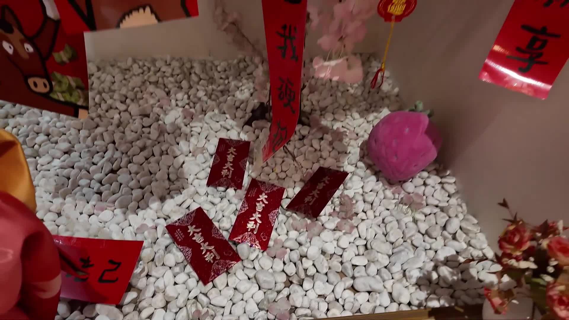 苏苏_新年快乐！无名海老缚m腿啵啵贝电击多次强高，吃手指，扇脸，口技记，tk，sp多重元素-绳艺在线资源网