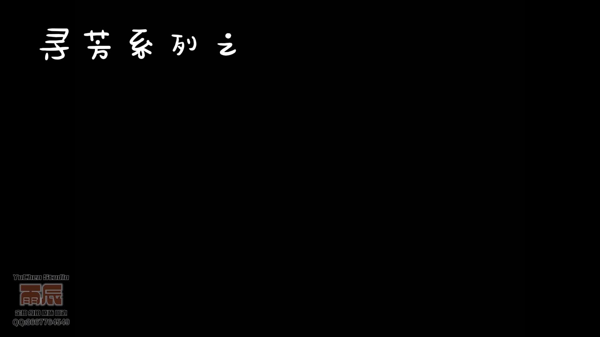 【雨辰原创】05后小K9受辱日记 玩胸虐茵 k9调教 自W高C 抽搐昏厥 狗笼关押 耳光羞辱 强G-绳艺在线资源网
