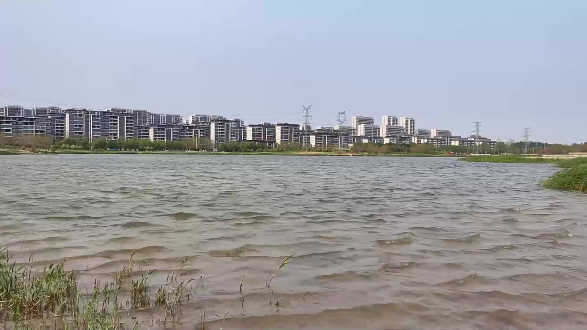 【李大侠】 新模约拍之惠子-绳艺在线资源网
