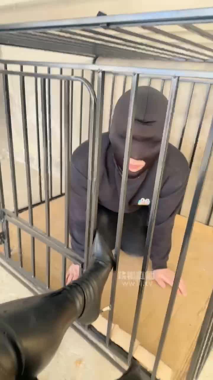 【77夫妻】探访人形犬舍-绳艺在线资源网