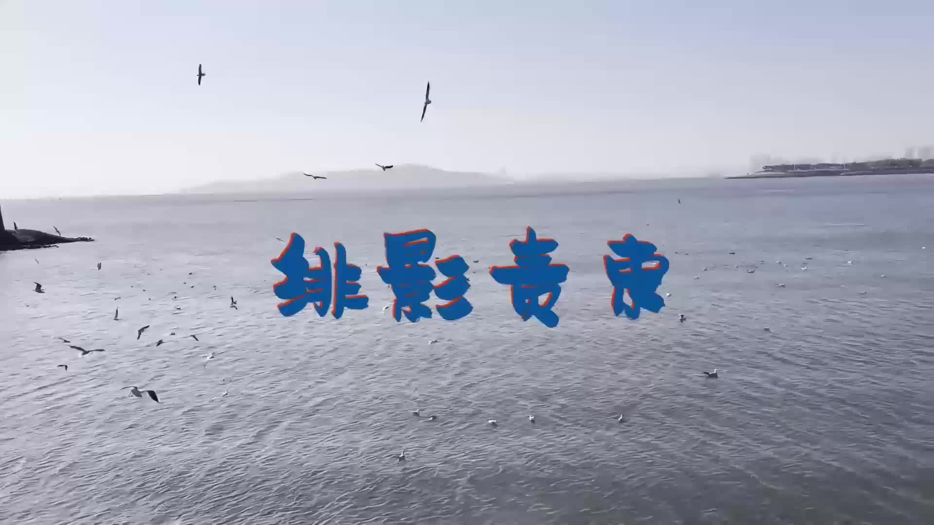 支臂驷马极限放置-绳艺在线资源网