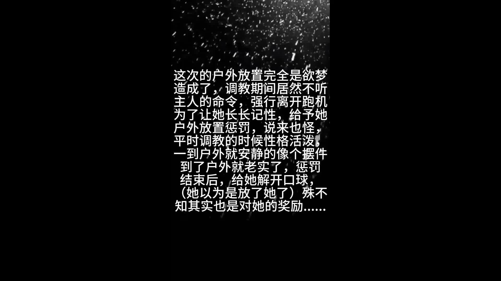 【眼眸原创】定拍调教叛逆之户外惩罚+结尾奖励-绳艺在线资源网