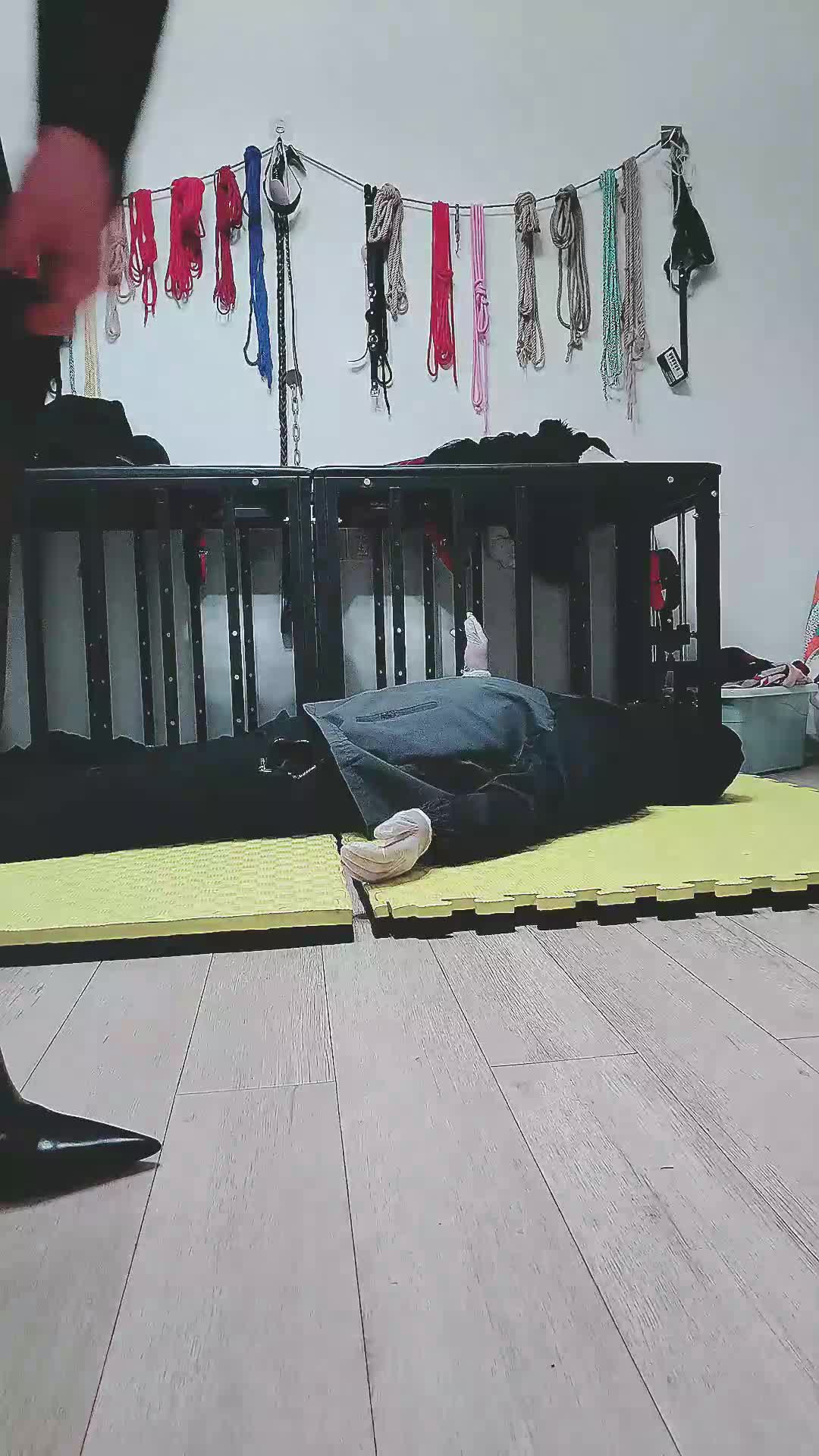 【淘淘】圈养狗犬化场-绳艺在线资源网