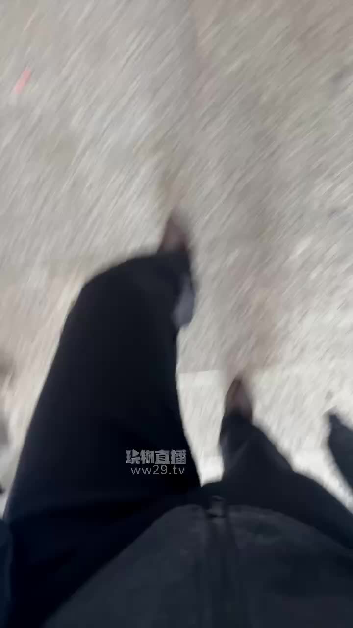 【77夫妻】圈养狗的第一天-绳艺在线资源网