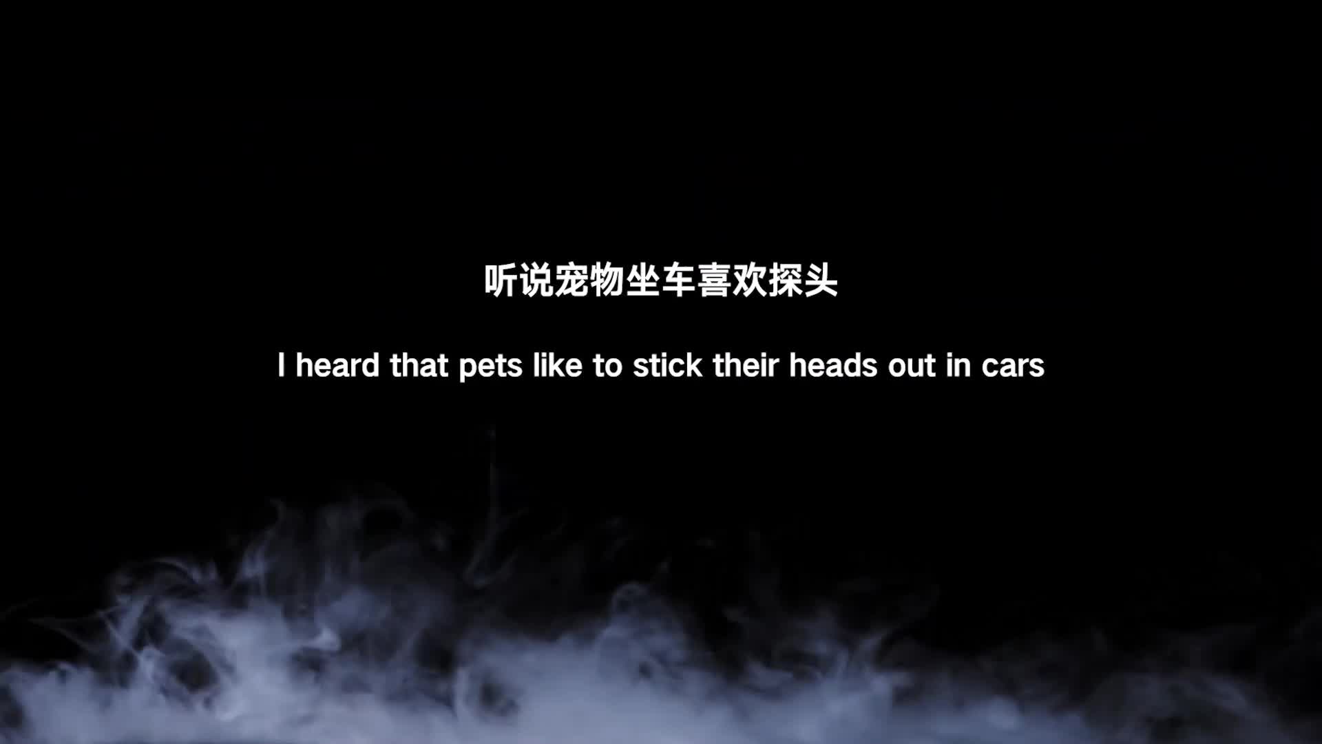 【半岛束艺】 听说宠物坐车喜欢探头~海语-绳艺在线资源网