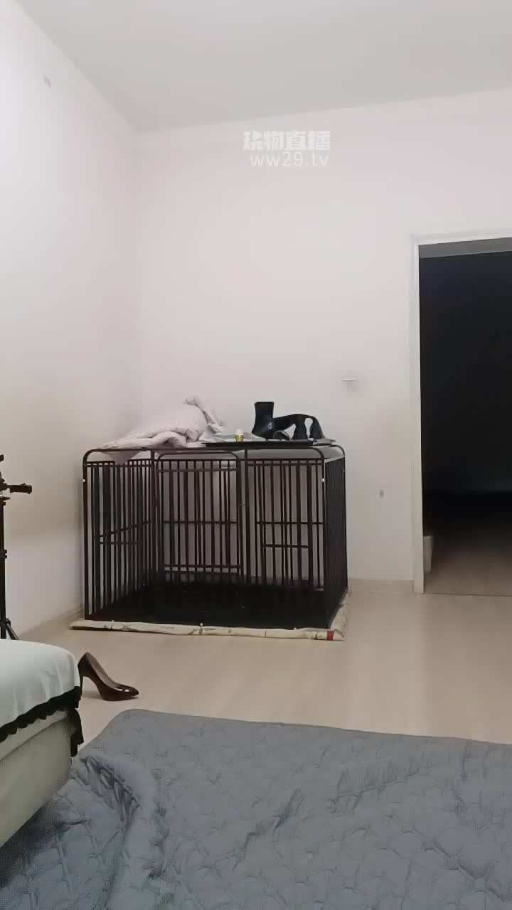 【洛芊s】酸臭黑丝脚玩奴-绳艺在线资源网