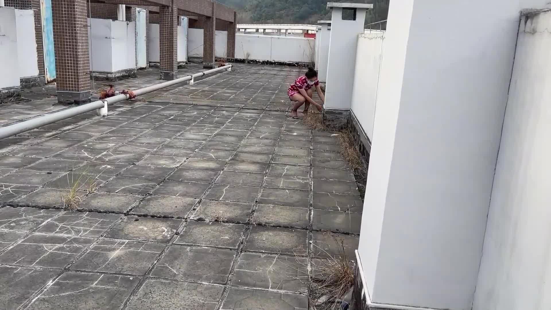 【zhangyang】女犯洋洋Ⅱ-绳艺在线资源网