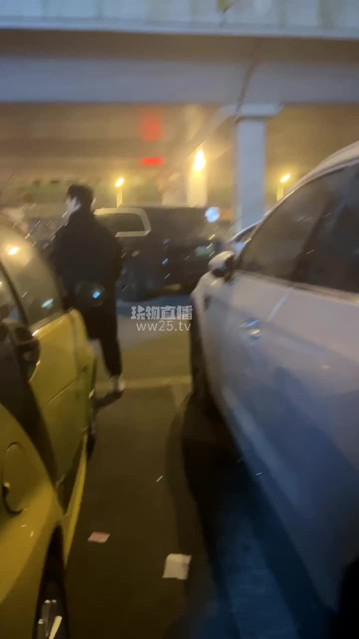 【心伊】户外遛狗车内调-绳艺在线资源网