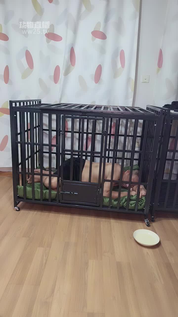 【沈阳饲养员】真实犬化实录-绳艺在线资源网