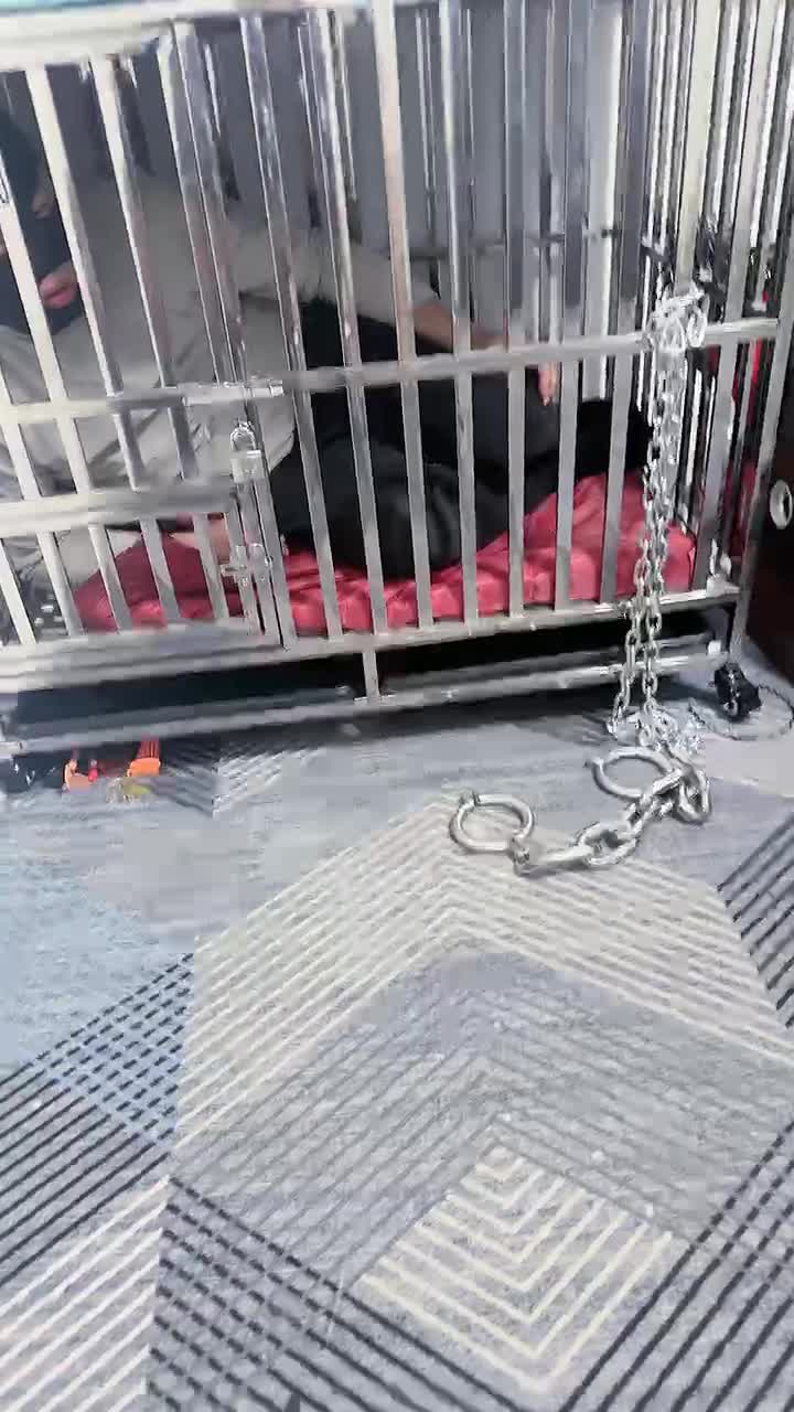 【淘淘】关狗笼犬化场-绳艺在线资源网