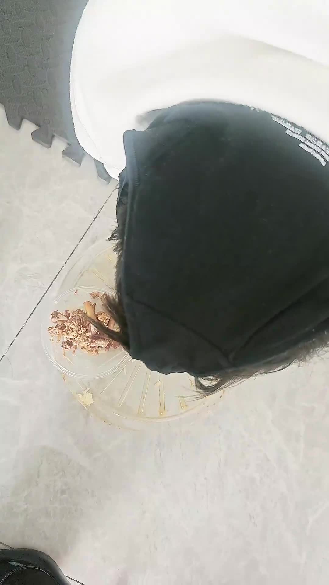 【淘淘】双S-脚下喂食圈养狗-绳艺在线资源网
