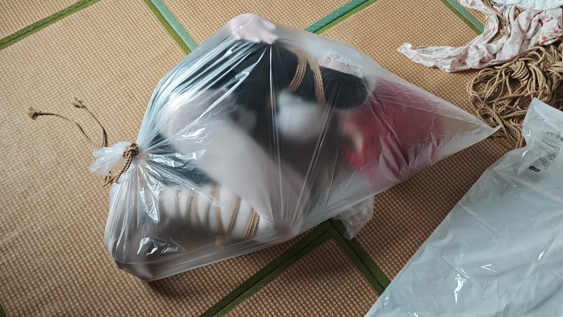 【打包袋】强制跪坐 郊狼电击-呼吸控制-绳艺在线资源网