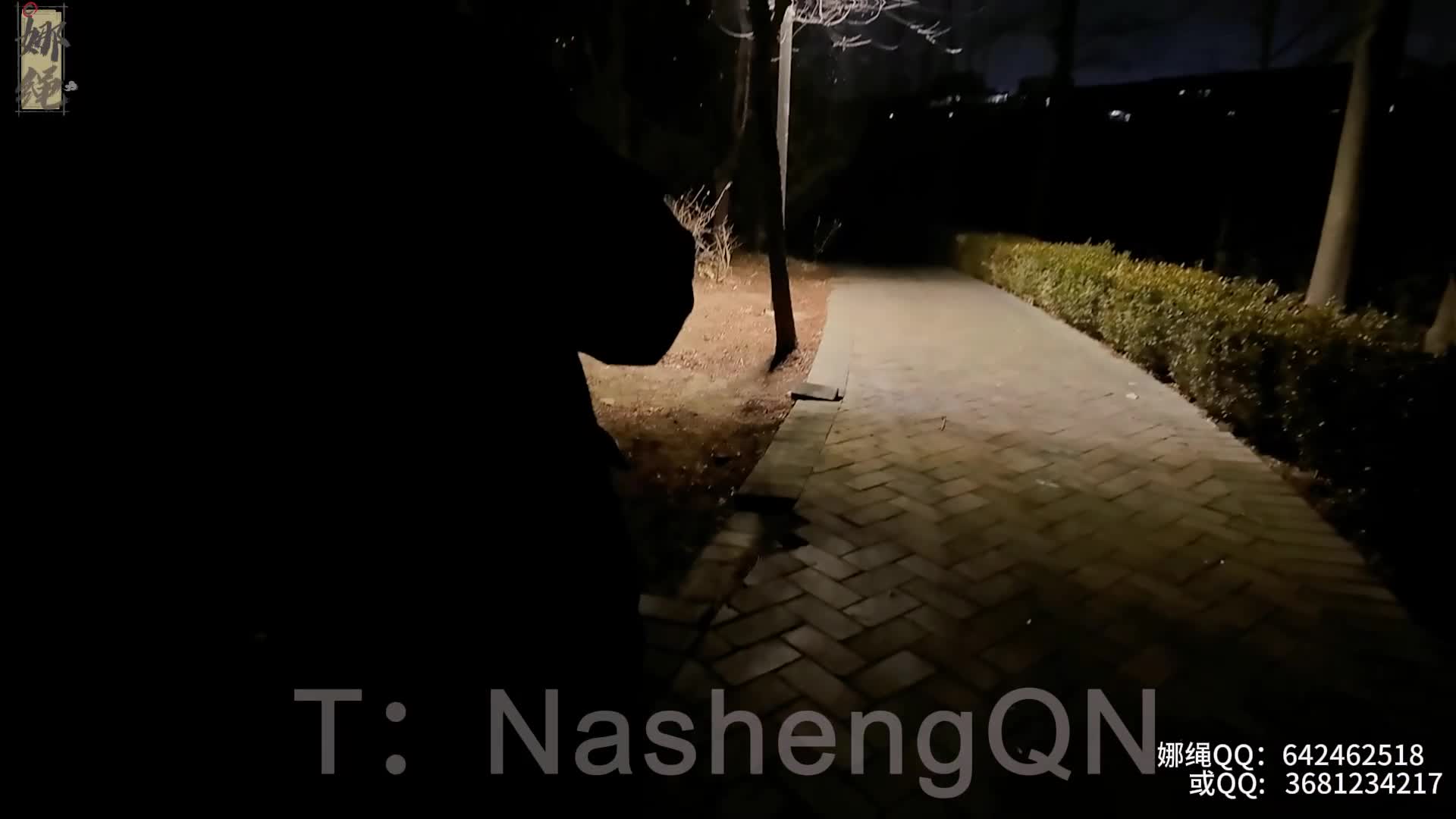 【青柠】公园里人来人往，青柠戴着沉重的镣铐缓慢前行。金属碰撞发出清脆的叮当声，每-绳艺在线资源网