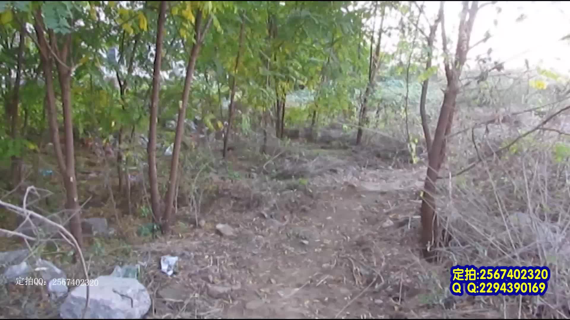 【mj影视】交通员之死-绳艺在线资源网